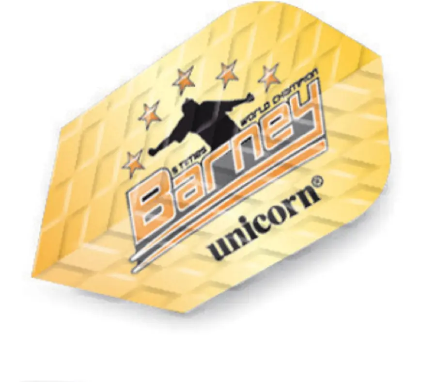 Unicorn Q 100 Raymond van Barneveld Flights -- 1 Satz