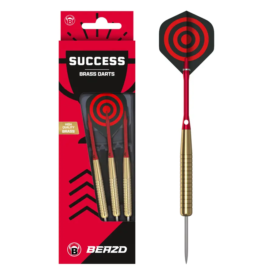 BEAZD Success Steeldart -- 1 Satz
