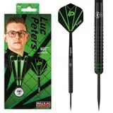 BULL'S Luc Peters Steel Dart - 22g -- 1 Satz – weergave 1