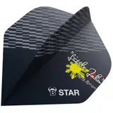 BULL'S B-Star Flights Rowby-John Rodriguez - A-Standard -- 1 Satz – Ansicht 1