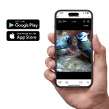 Gardenature Vogelhaus Vogelkasten mit WIFI KAMERA 4MP – vista 5
