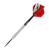 BEAZD Dot D2 Steeldart -- 1 Satz – vista 2