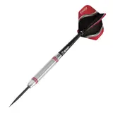BEAZD Artos AR3 Steeldart -- 1 Satz – weergave 2