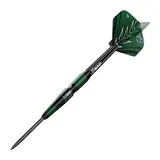 BEAZD Brian Raman G2 Steeldart -- 1 Satz – Ansicht 2