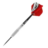 BEAZD Dot D1 Steeldart -- 1 Satz – view 5