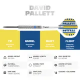 BEAZD David Pallett Steeldart -- 1 Satz – Ansicht 11