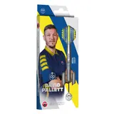 BEAZD David Pallett Steeldart -- 1 Satz – Ansicht 12