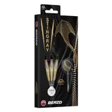 BEAZD Stingray ST4 Steeldart -- 1 Satz – vista 12