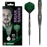 BEAZD Brian Raman Steeldart -- 1 Satz – vista 5