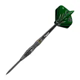 BEAZD Brian Raman Steeldart -- 1 Satz – vista 14
