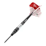 BEAZD Martin Schindler G3 Steeldart -- 1 Satz – weergave 11
