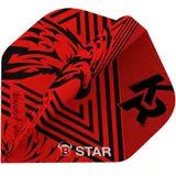 BEAZD B-Star Flights - Krzysztof Ratajski - A-Standard -- 1 Satz – view 1