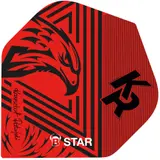 BEAZD B-Star Flights - Krzysztof Ratajski - A-Standard -- 1 Satz – view 2