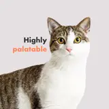 Multifit Healthy Cat Gummies – Leckere & Nahrhafte Ergänzungen für Verdauung, Fellpflege & Immunsystem Ihrer Katze | DotDotPet – view 2