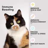 Multifit Healthy Cat Gummies – Leckere & Nahrhafte Ergänzungen für Verdauung, Fellpflege & Immunsystem Ihrer Katze | DotDotPet – view 3